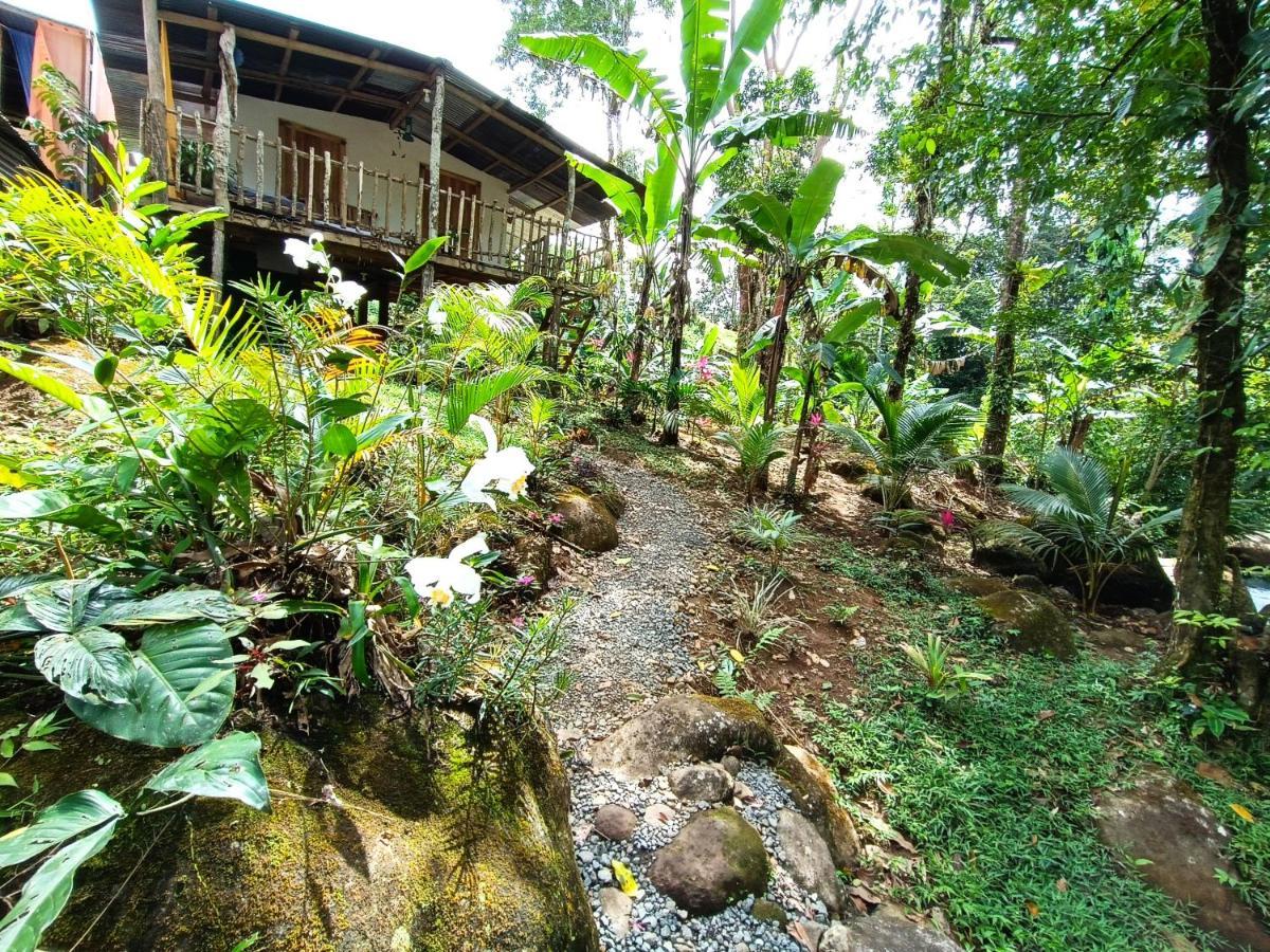 Cabana Vista Rio Celeste Exteriér fotografie