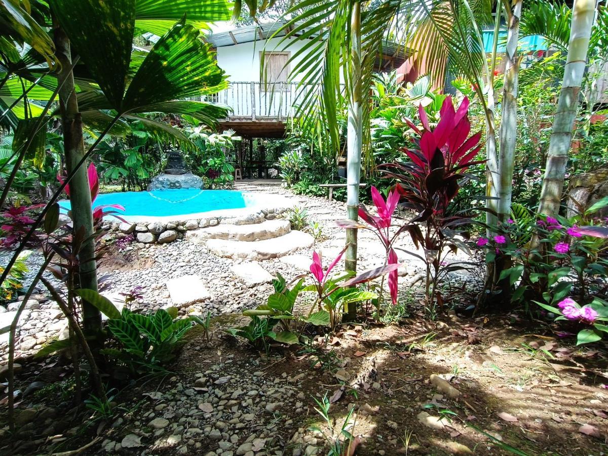 Cabana Vista Rio Celeste Exteriér fotografie