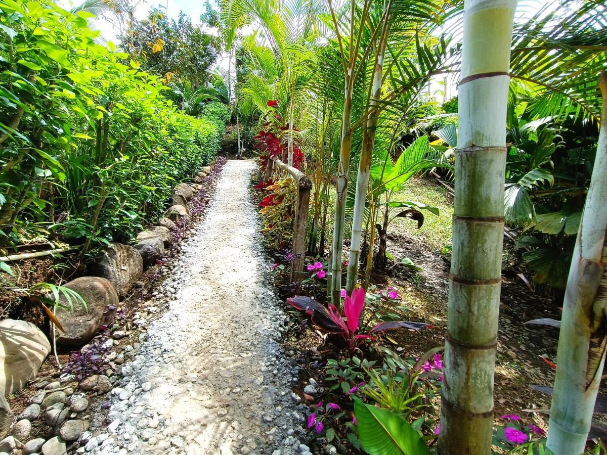 Cabana Vista Rio Celeste Exteriér fotografie