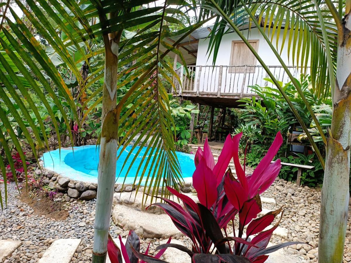Cabana Vista Rio Celeste Exteriér fotografie