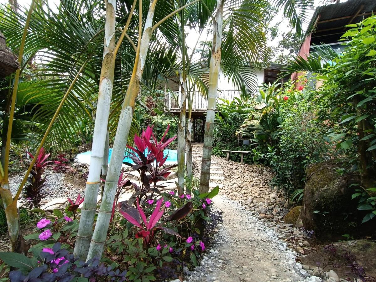 Cabana Vista Rio Celeste Exteriér fotografie