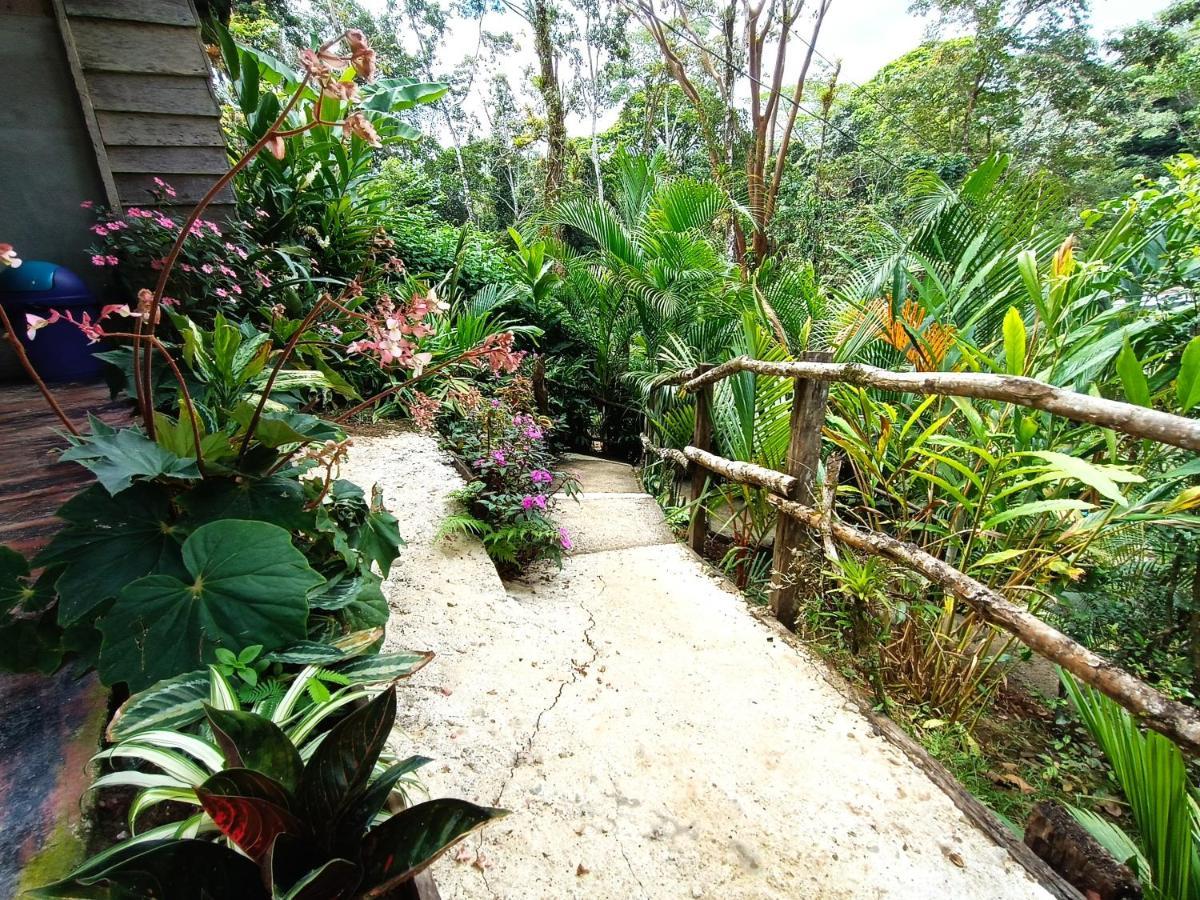 Cabana Vista Rio Celeste Exteriér fotografie